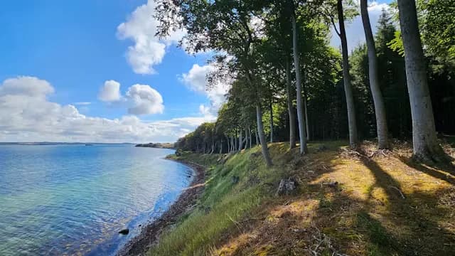 Asnæs Halvøen – 10 km naturvandring