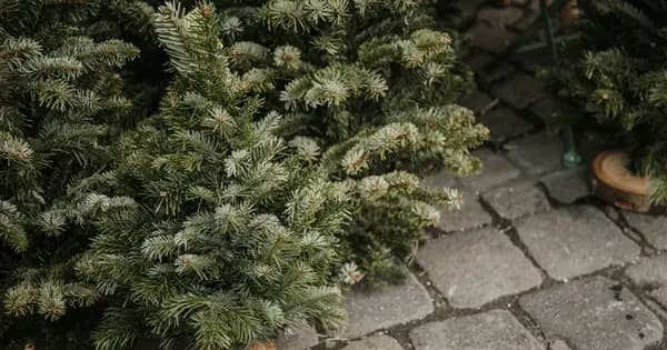 Julemarked i Buerup Forsamlingshus