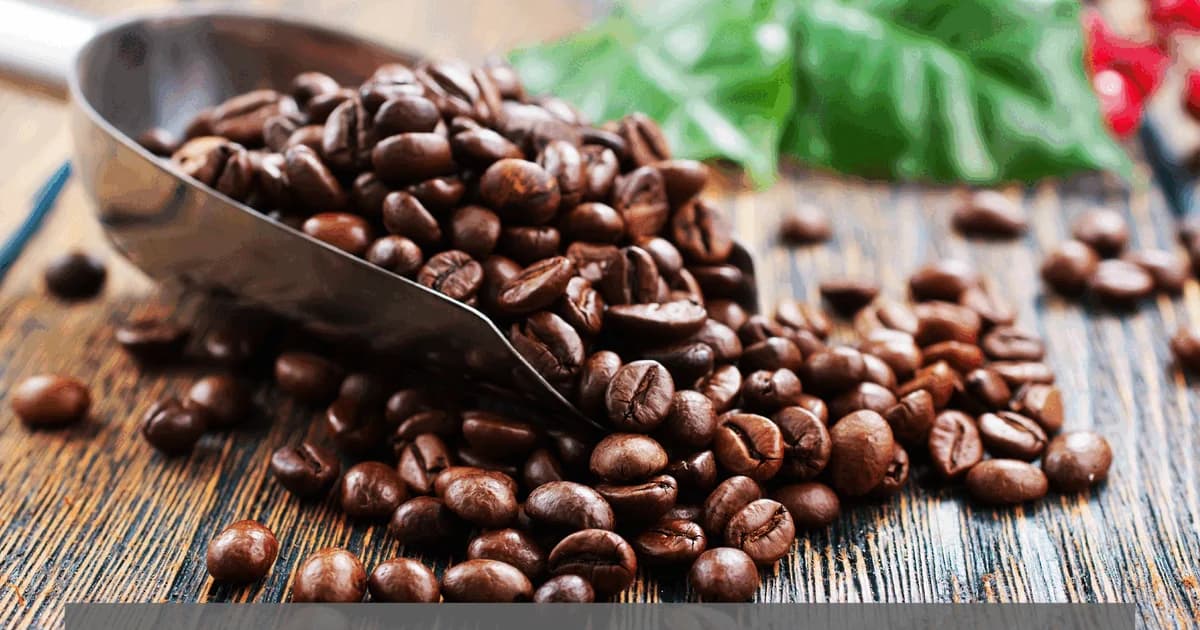 Kaffe – Fra plante til kop (via livestream)