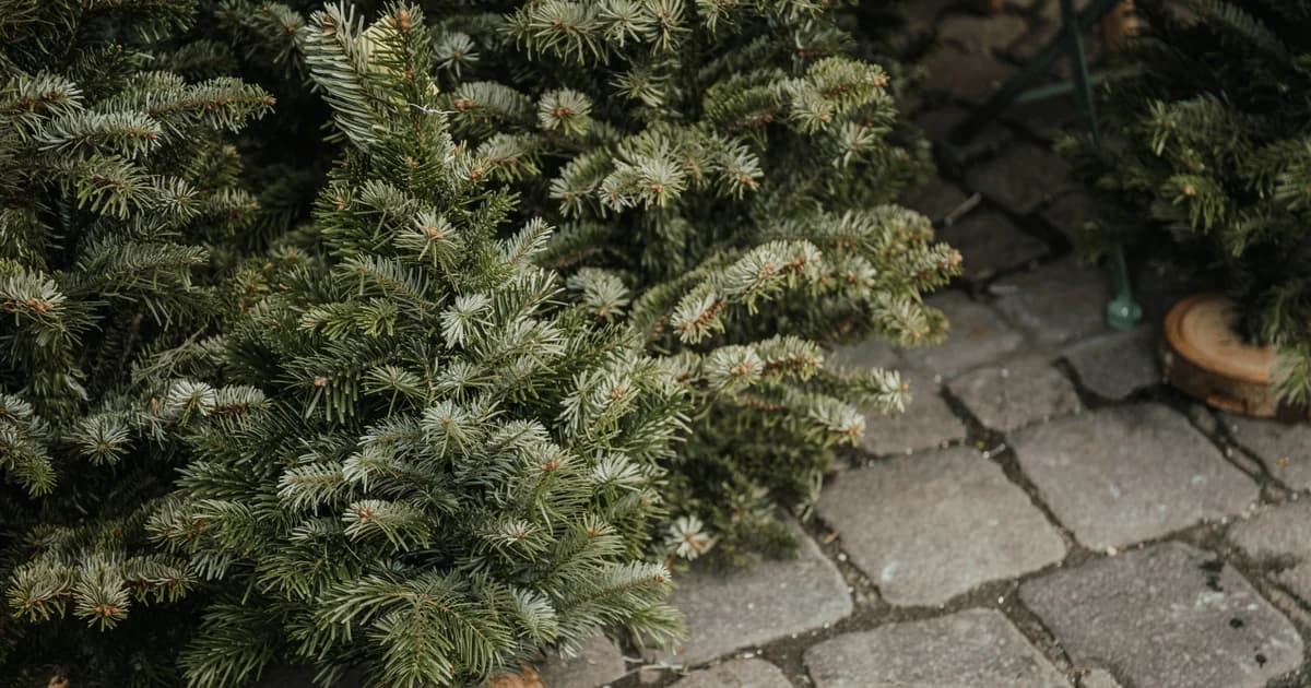 Julemarked i Buerup Forsamlingshus